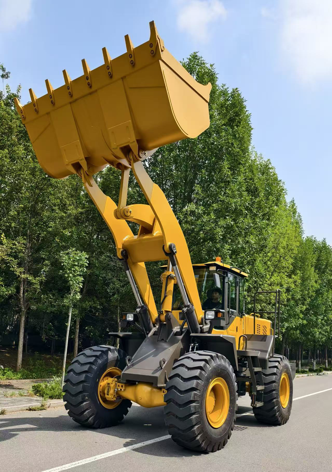 SL956G Large Loader